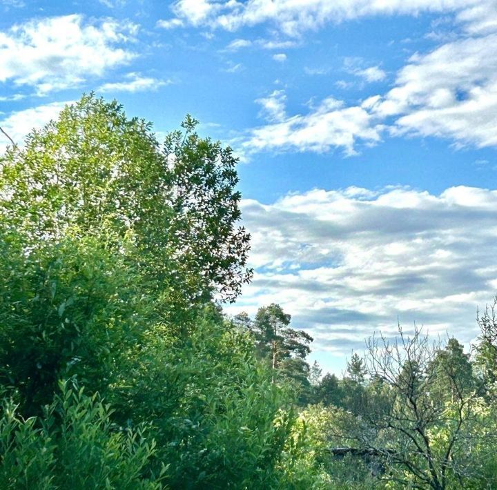 земля р-н Гатчинский Вырица городской поселок, Купчино, ул. Песочная фото 3