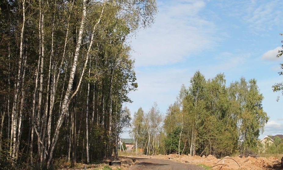 земля г Химки территориальное управление Кутузовское, Красногорск фото 1