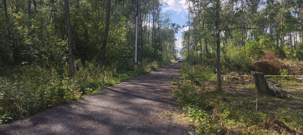 земля городской округ Домодедово д Степыгино коттеджный посёлок Дивный фото 1