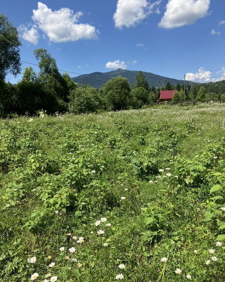 земля р-н Турочакский с Ново-Троицк Турочак фото 7