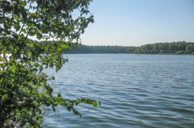 земля городской округ Мытищи д Витенево снт Солнечная поляна ул 1-я Веерная 40с/1 16 км, Мытищи, Алтуфьевское шоссе фото 3