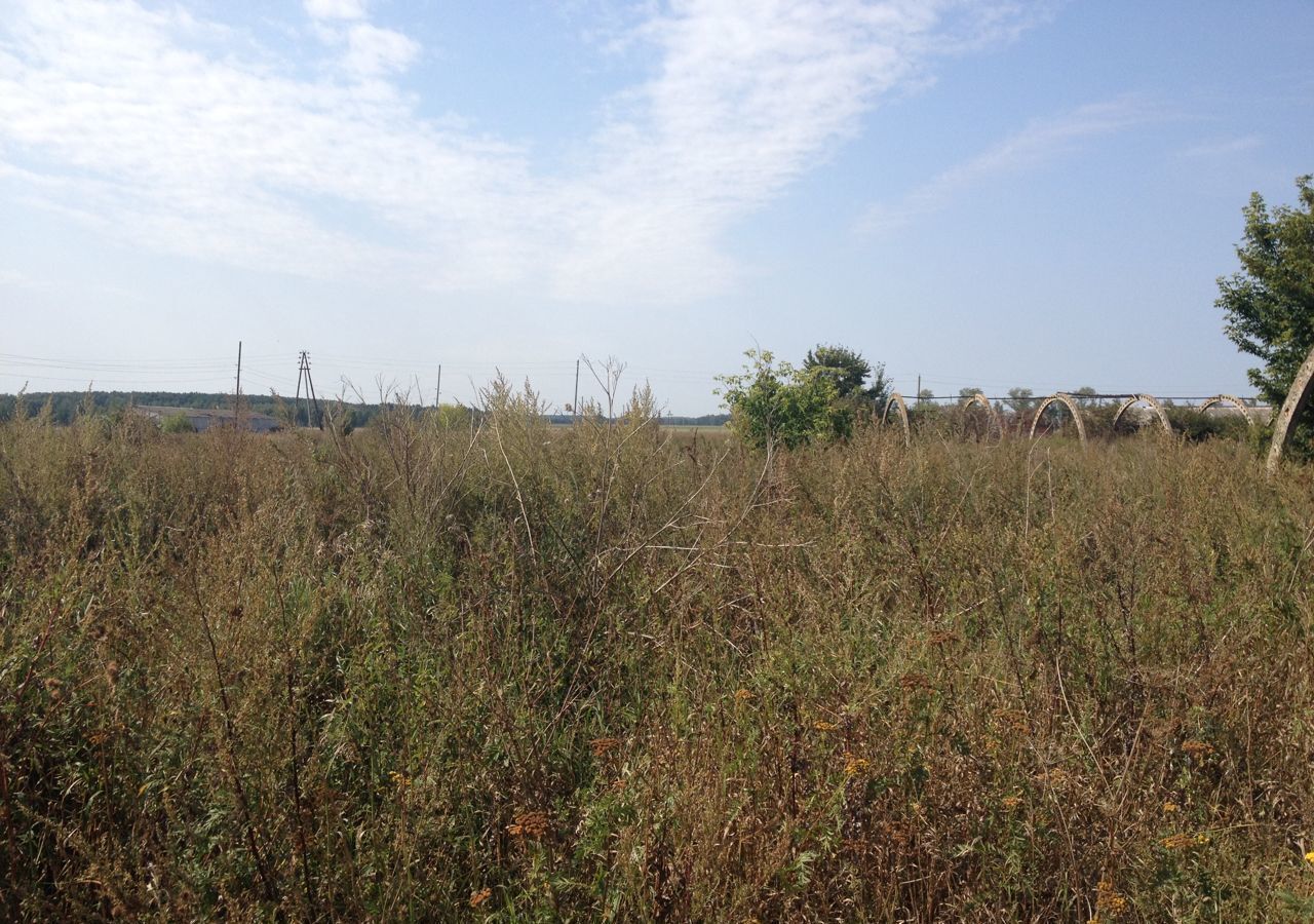 земля городской округ Луховицы с Григорьевское ул Блохина Луховицы фото 2