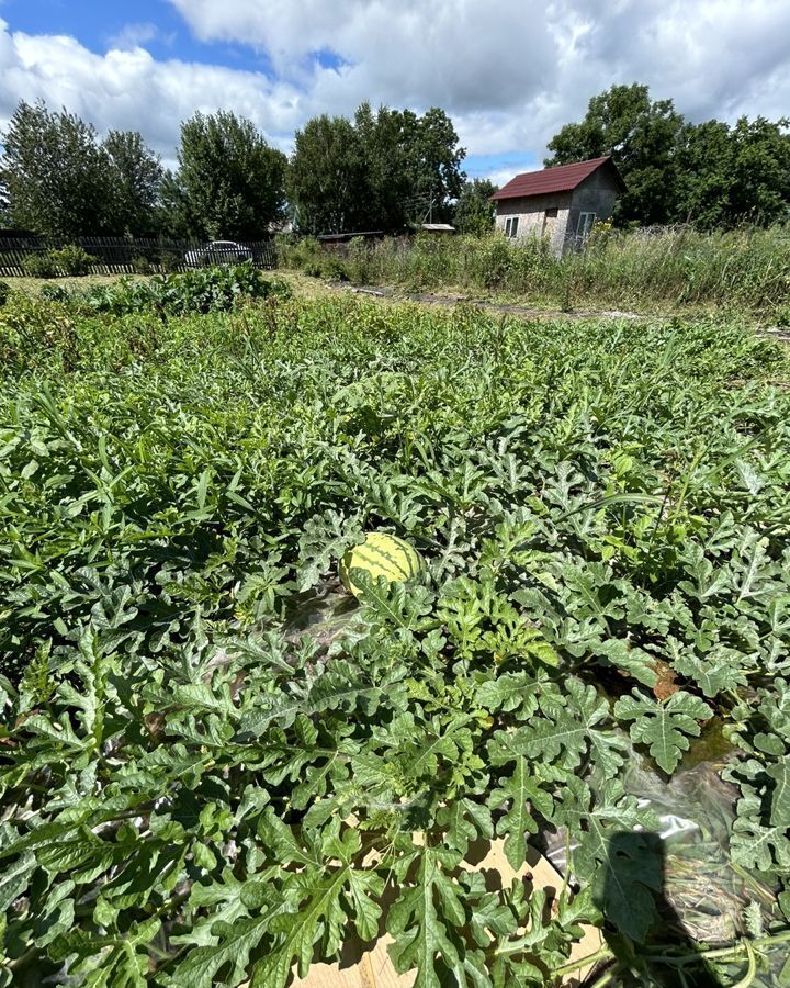 дом р-н Имени Лазо рп Хор ул Железнодорожная 30 р-н им. Лазо фото 13