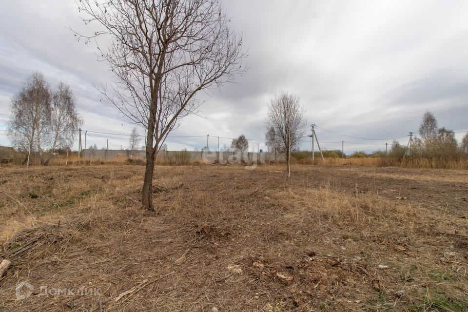 земля г Тюмень снт Поле чудес-2 ул Цветочная городской округ Тюмень фото 2