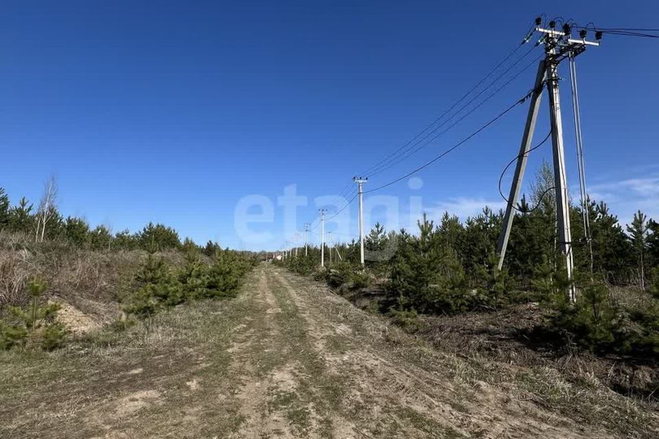 земля р-н Нижнетавдинский деревня Московка фото 3