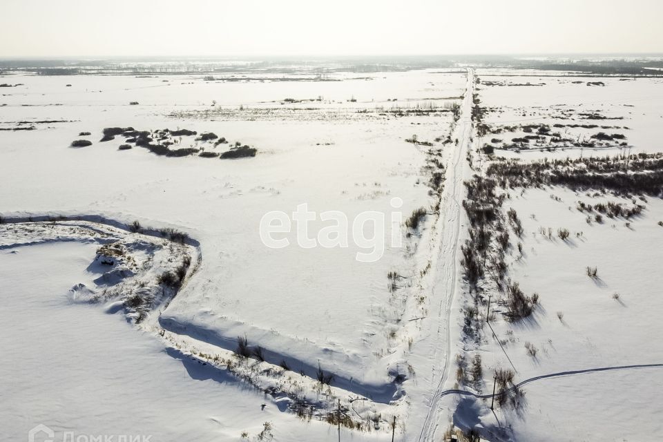 земля р-н Тюменский фото 3