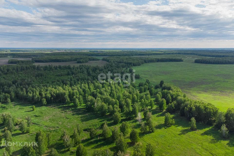 земля р-н Тюменский фото 2