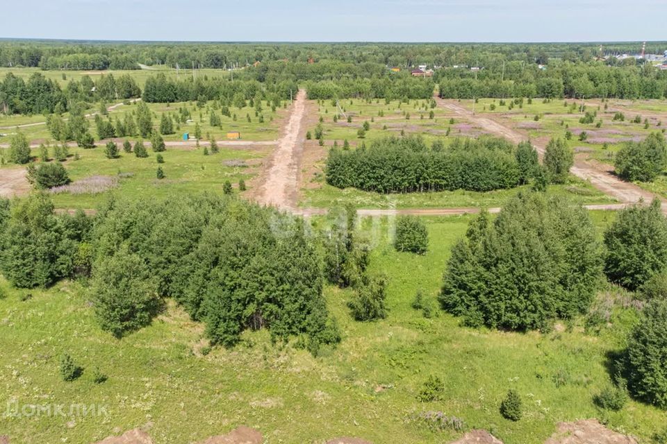 земля городской округ Тюмень, СНТ Лесная Поляна фото 3