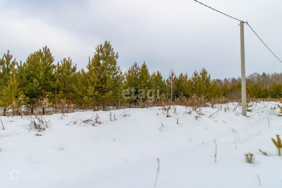 земля р-н Нижнетавдинский д Московка 5-я линия фото 1