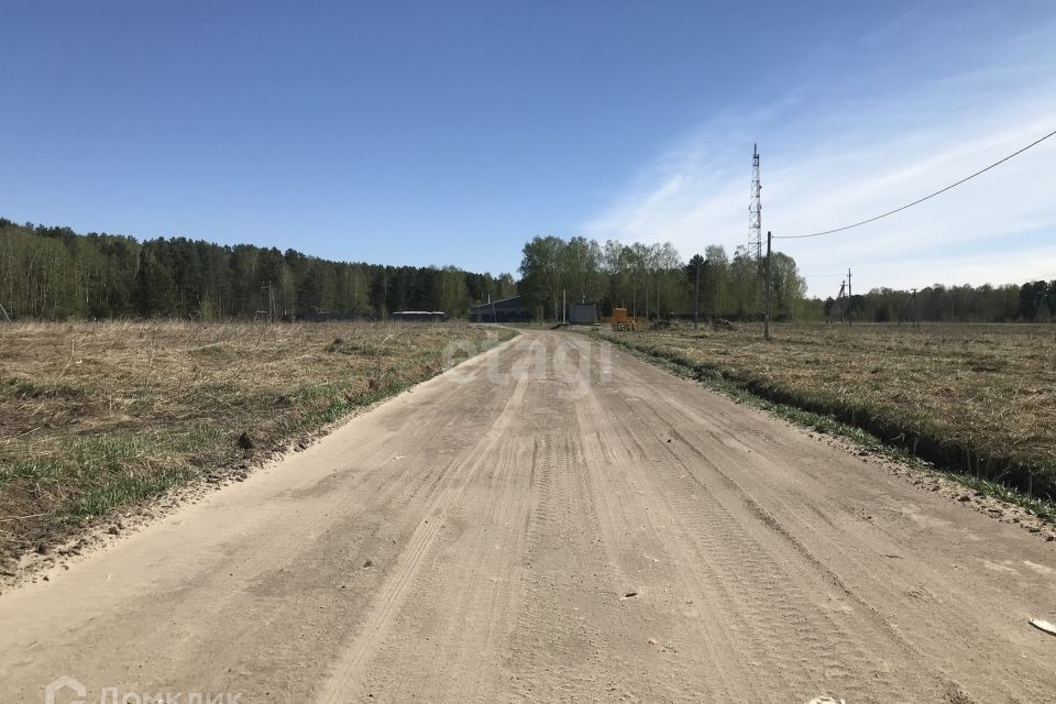 земля р-н Нижнетавдинский село Нижняя Тавда фото 1