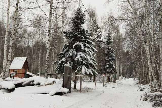 ул Рябиновая Новотарманское сельское поселение фото