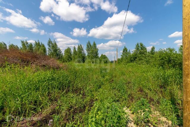 городской округ Тюмень, садоводческое некоммерческое товарищество Большое Царёво-2 фото