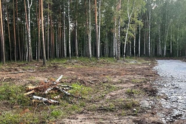 городской округ Верхняя Пышма, Тихая улица, 15 фото