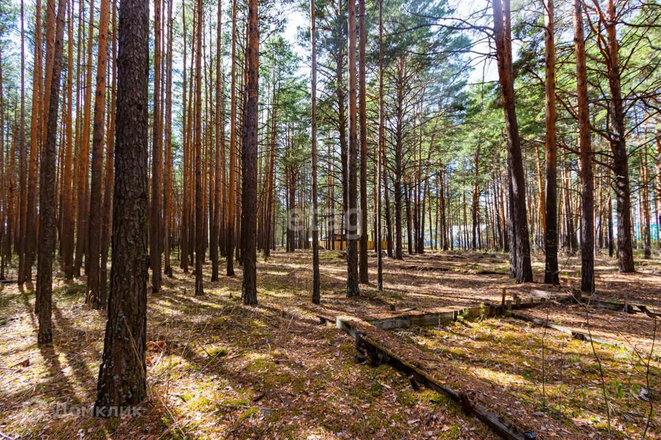 земля г Тюмень ул Приозерная городской округ Тюмень фото 3