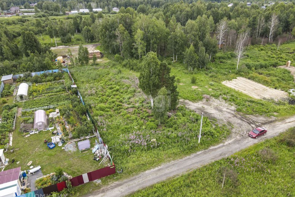 земля р-н Нижнетавдинский снт Лесная Сказка ул 3-я фото 4