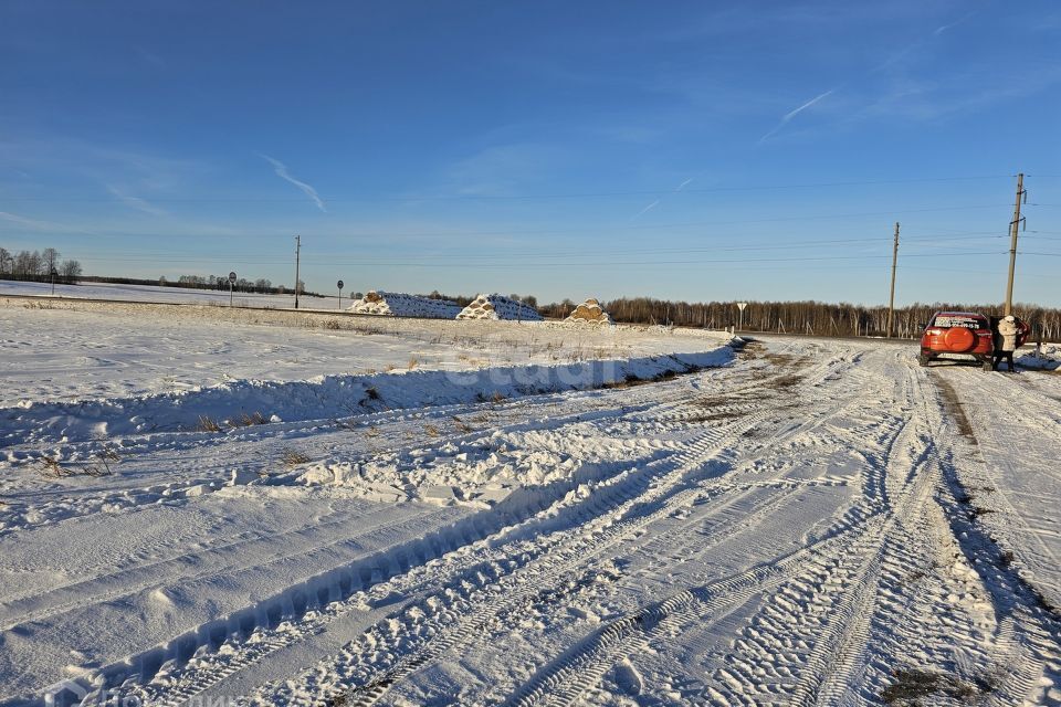 земля р-н Тюменский село Червишево фото 2