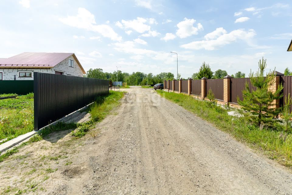 земля р-н Тюменский ДПК Новокаменский, Менделеева улица фото 3