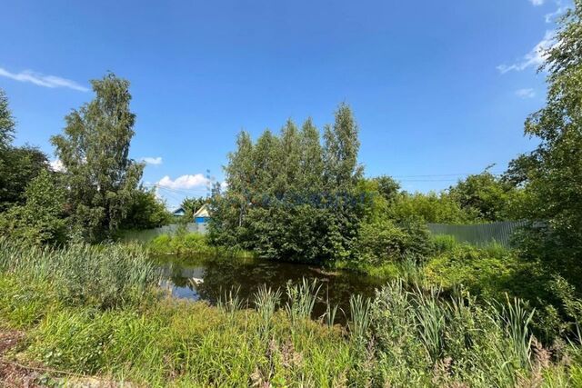 городской округ Нижний Новгород, Светлая фото