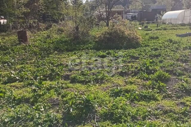 городской округ Южно-Сахалинск, СНТ Горняк фото