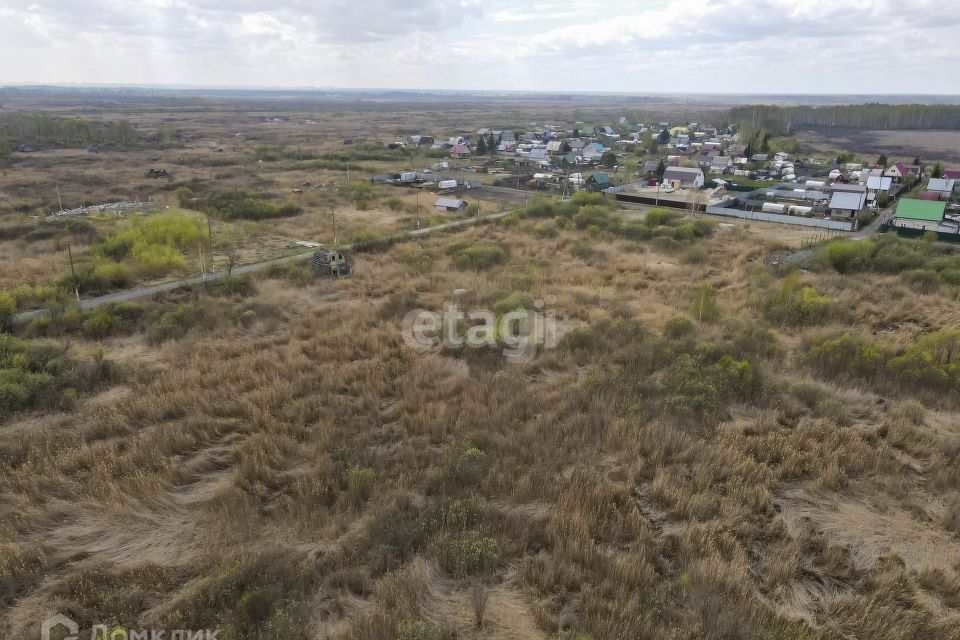 земля г Тюмень снт Фиалка городской округ Тюмень, 6-я улица фото 4