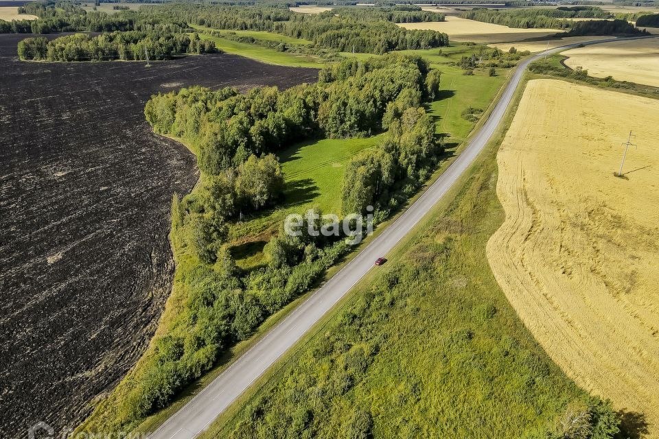 земля р-н Нижнетавдинский село Велижаны фото 2