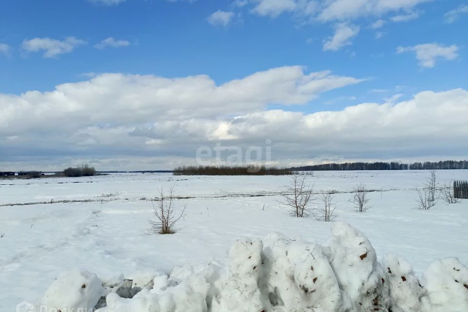 земля р-н Тугулымский д Филина ул Молодежная фото 2