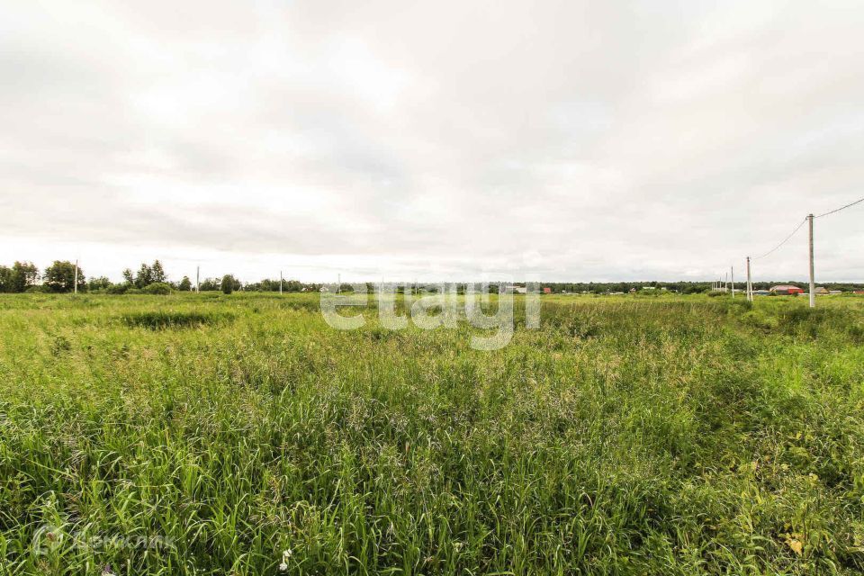 земля г Тюмень городской округ Тюмень, СО Зелёный бор фото 2