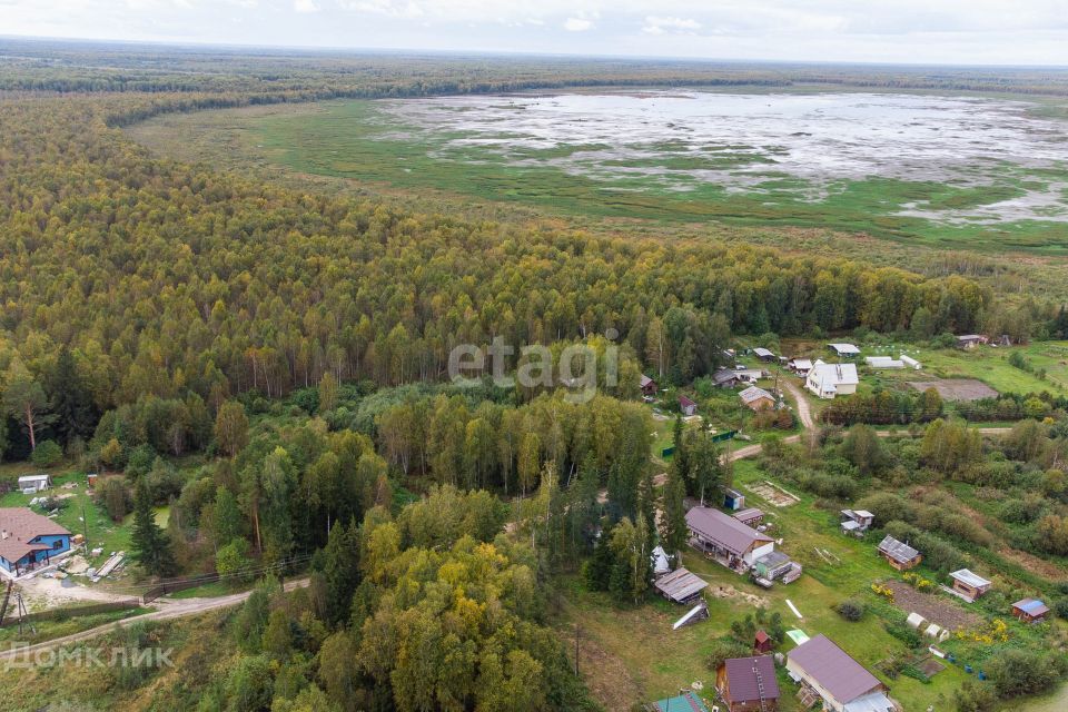 земля р-н Нижнетавдинский СНТ Аракчино фото 2