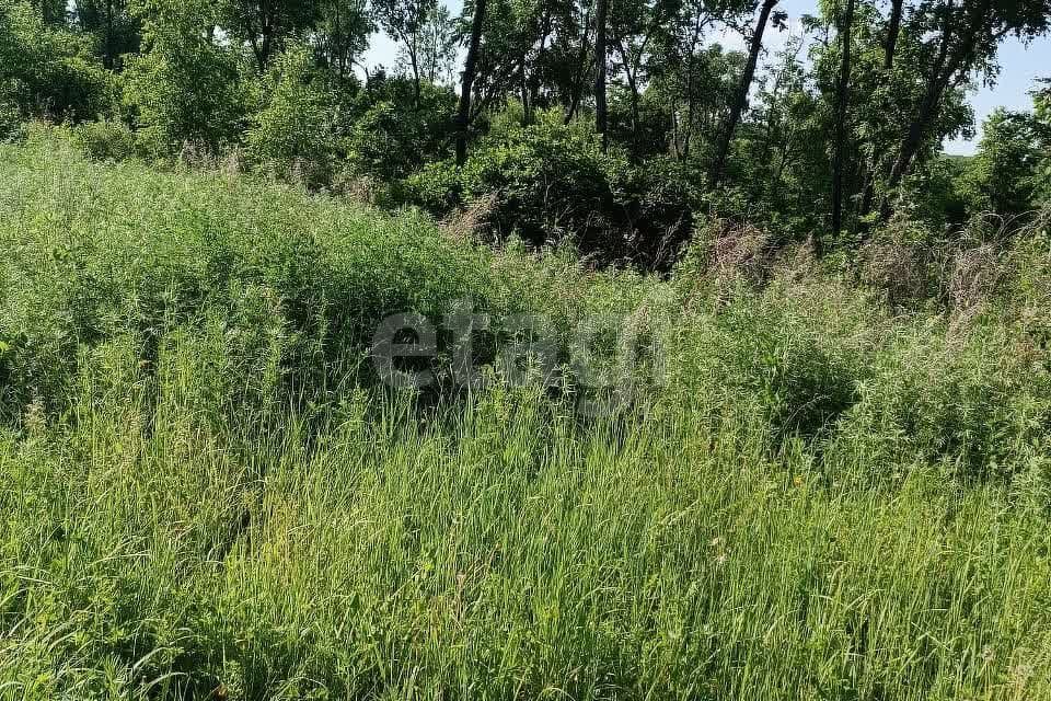 земля р-н Благовещенский село Верхнеблаговещенское фото 2