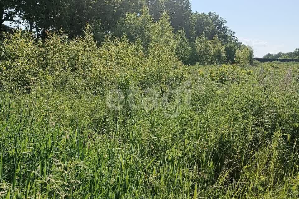 земля р-н Благовещенский село Верхнеблаговещенское фото 4