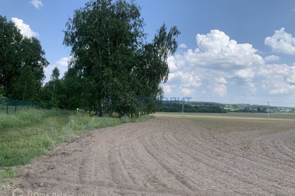 земля р-н Богородский сельский посёлок Зелёный Дол фото 3