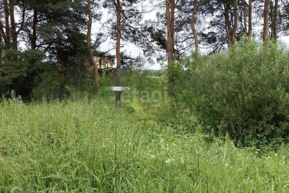 земля р-н Калининский деревня Змеево Михайловское сельское поселение фото 3