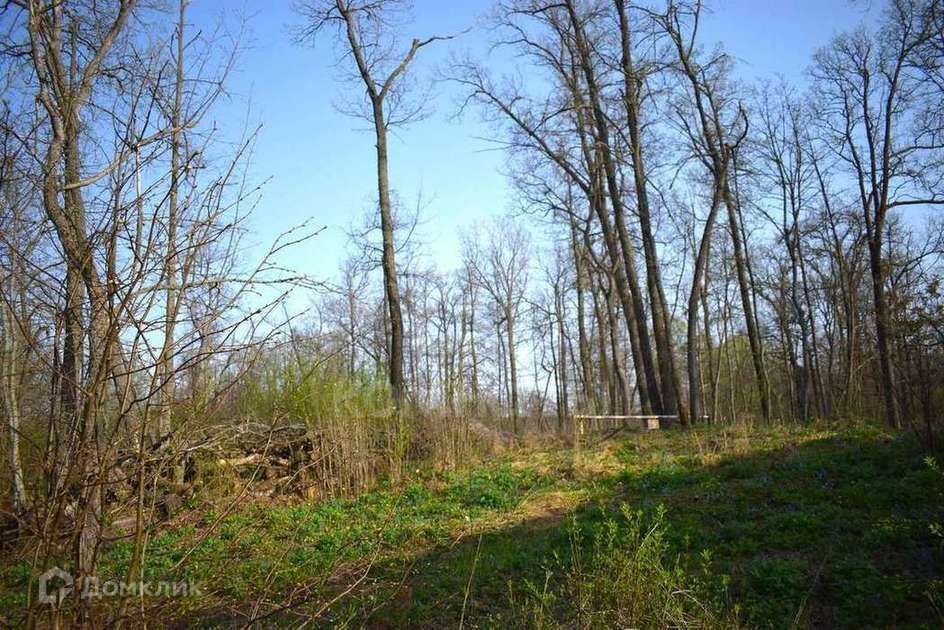 земля р-н Рамонский ДНТ Кожевенный, Озёрная улица фото 2