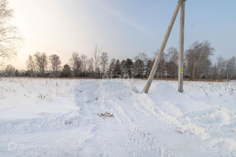 земля г Тюмень городской округ Тюмень, Верхний Бор фото 7