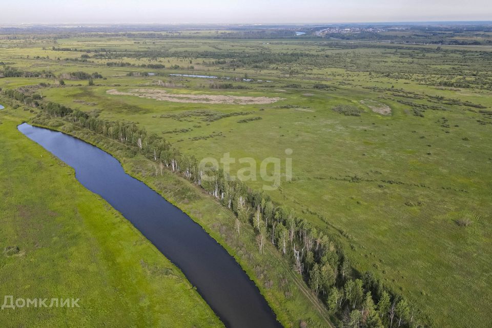 земля р-н Тюменский село Борки фото 5