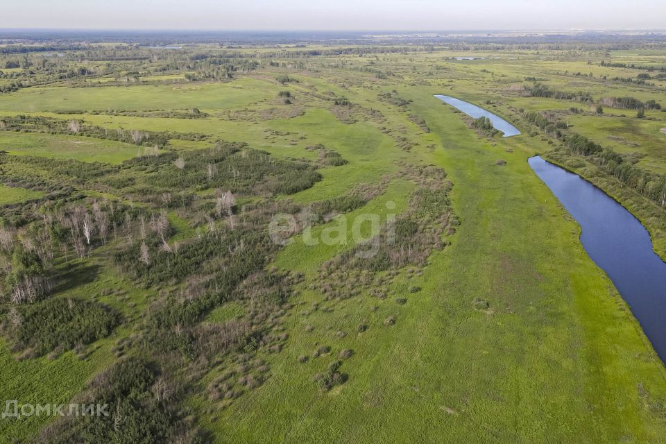 земля р-н Тюменский село Борки фото 6