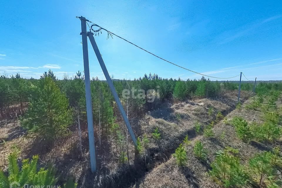 земля р-н Нижнетавдинский д Московка 6-я линия фото 10