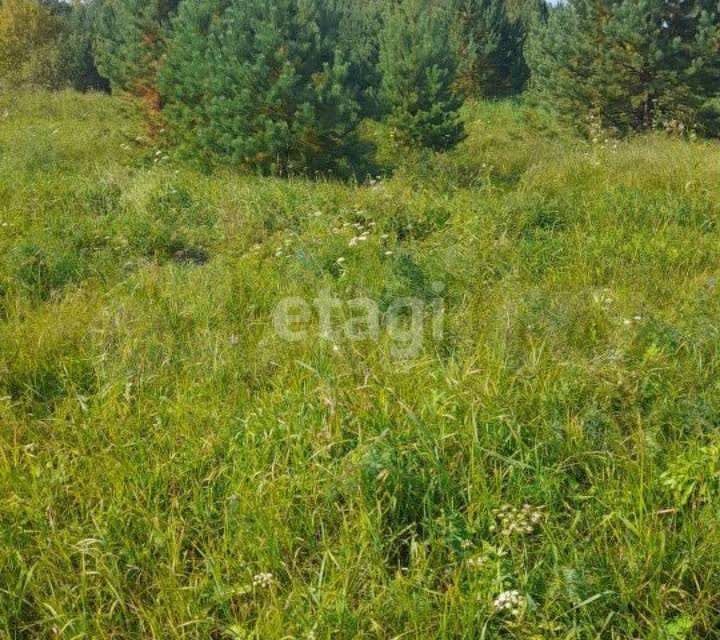 земля р-н Нижнетавдинский с Андрюшино ул Зеленая Андрюшинское сельское поселение фото 5