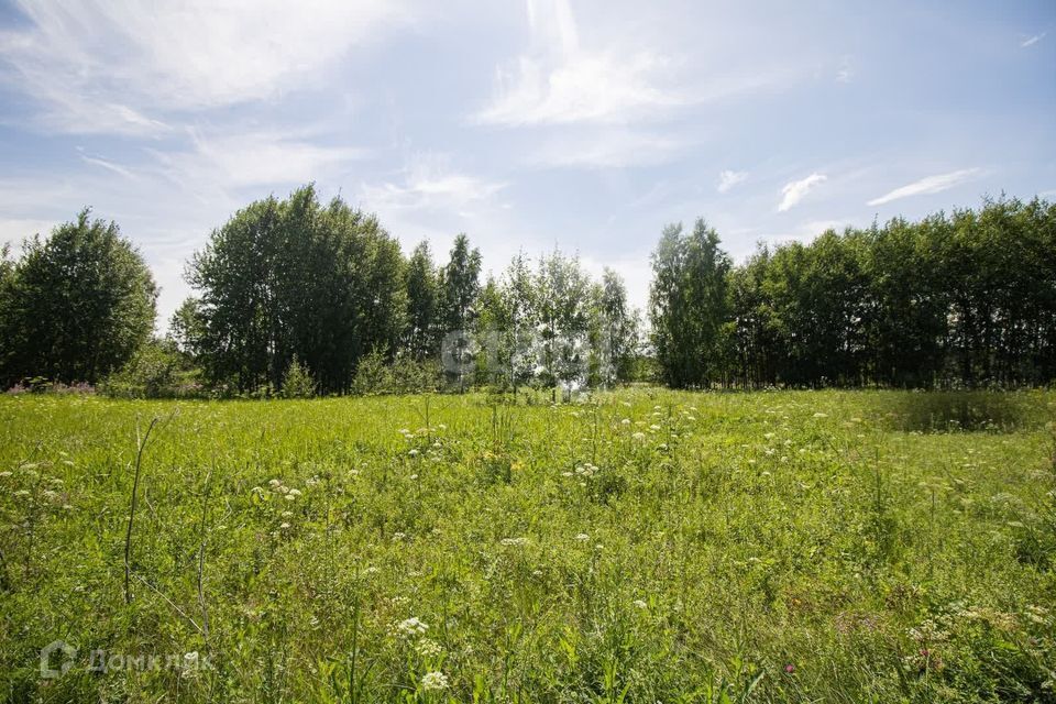 земля городской округ Тюмень, СНТ Лесная Поляна фото 5