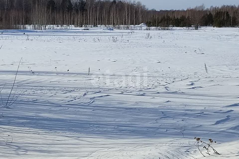 земля р-н Тюменский СНТ Фазенда фото 9