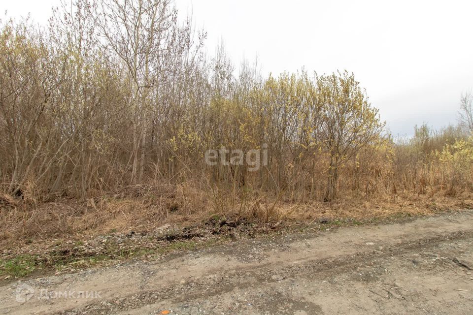 земля г Тюмень городской округ Тюмень, садовое товарищество Поле Чудес фото 5