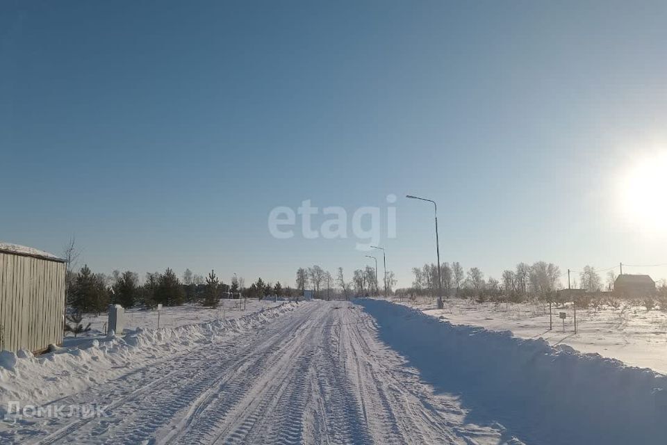 земля р-н Тюменский с Каменка дачное некоммерческое товарищество Подушкино фото 7