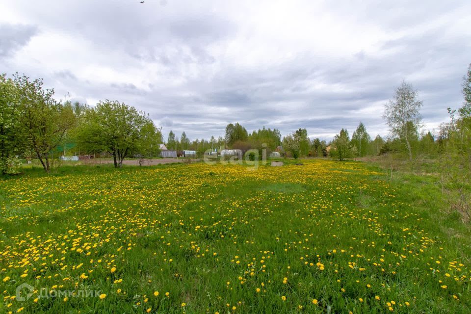 земля р-н Нижнетавдинский СНТ Геофизик 2 фото 7