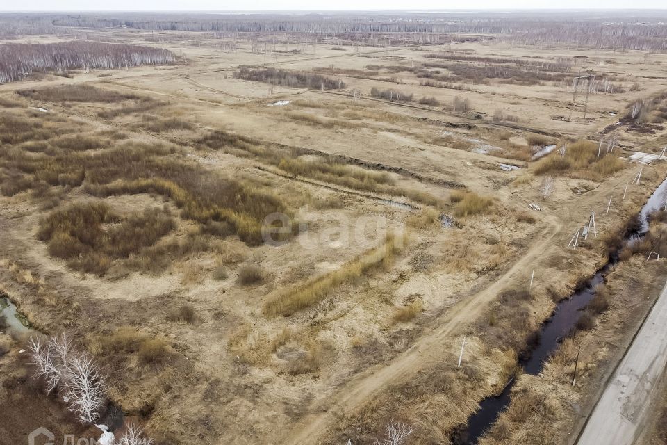 земля городской округ Тюмень, садовые участки Светлое фото 8