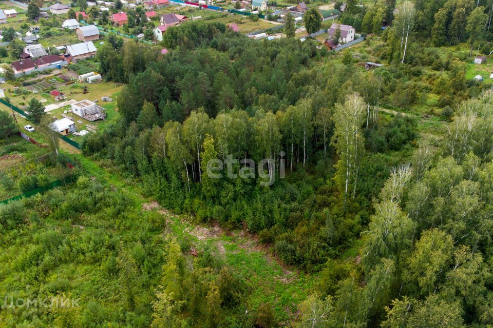 земля р-н Нижнетавдинский снт Здоровье-2 ул 8-я фото 6