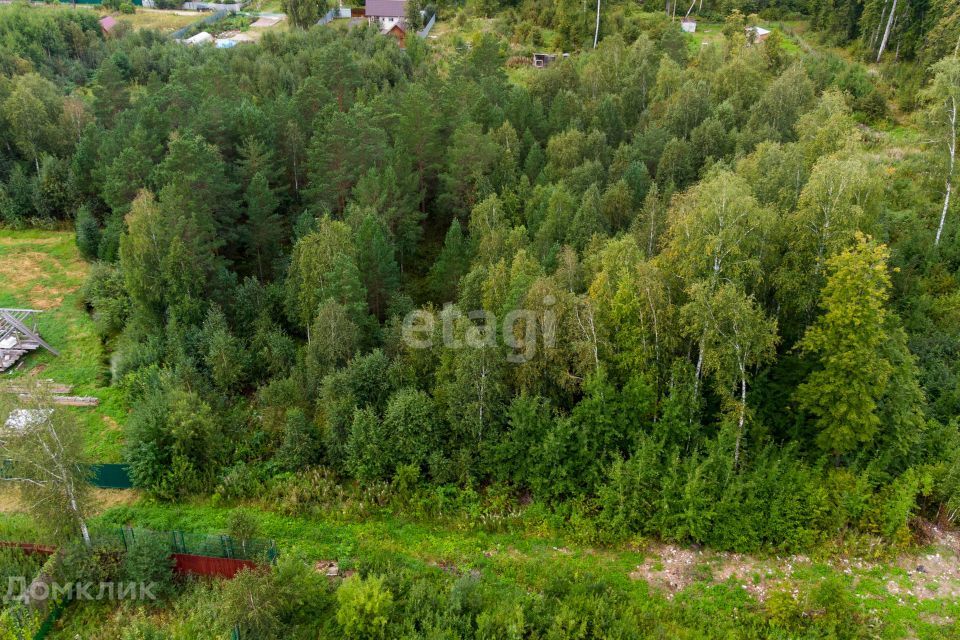 земля р-н Нижнетавдинский снт Здоровье-2 ул 8-я фото 7