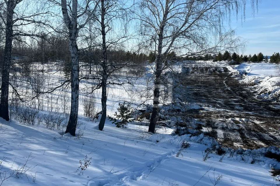 земля р-н Тюменский ДПК Новокаменский, Нобелевская фото 7