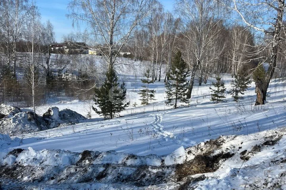 земля р-н Тюменский ДПК Новокаменский, Нобелевская фото 8