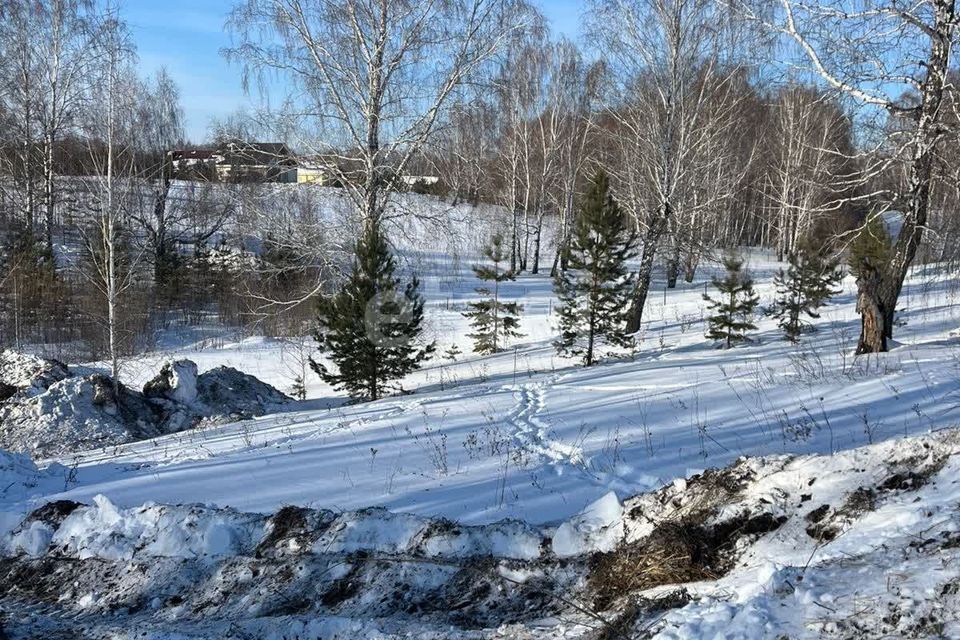 земля р-н Тюменский ДПК Новокаменский, Нобелевская фото 6