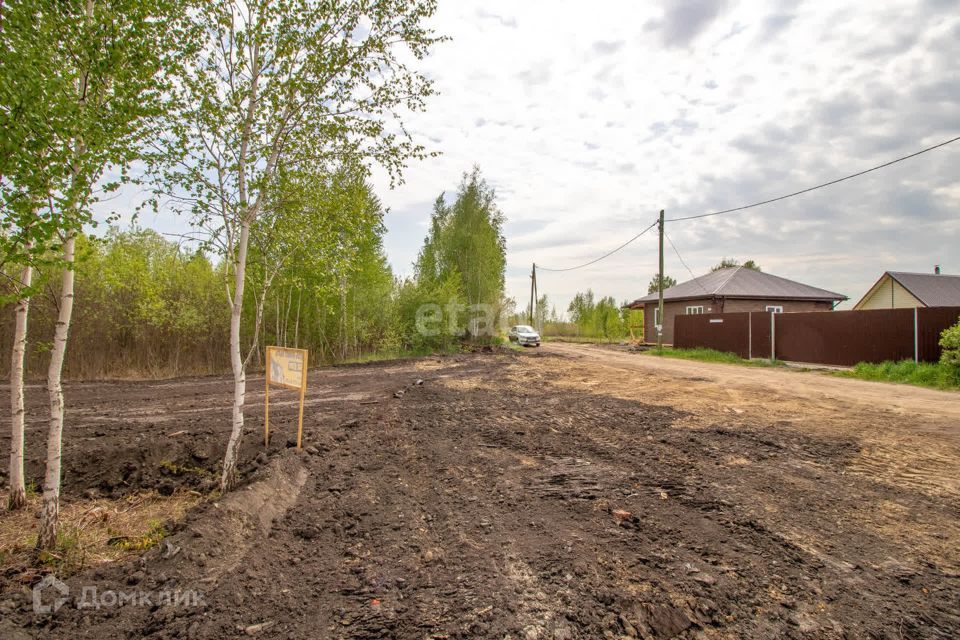 земля г Тюмень снт Липовый остров городской округ Тюмень, 15-я Восточная улица фото 7